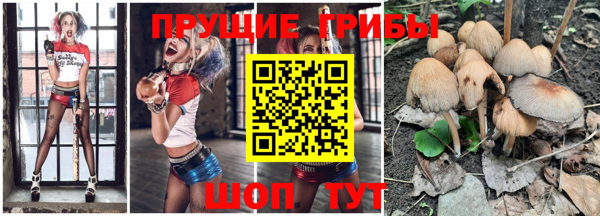 Галлюциногенные грибы Magic Shrooms  Вход с VPN  Псилоцибиновые грибы MAGIC MUSHROOMS  Электросталь 